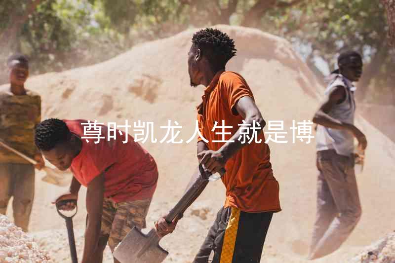 尊时凯龙人生就是博