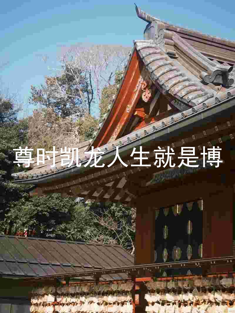 尊时凯龙人生就是博