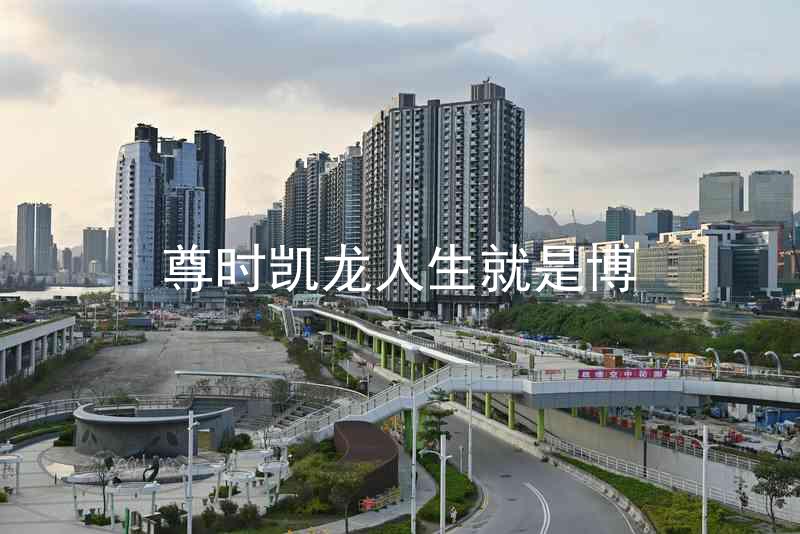 尊时凯龙人生就是博